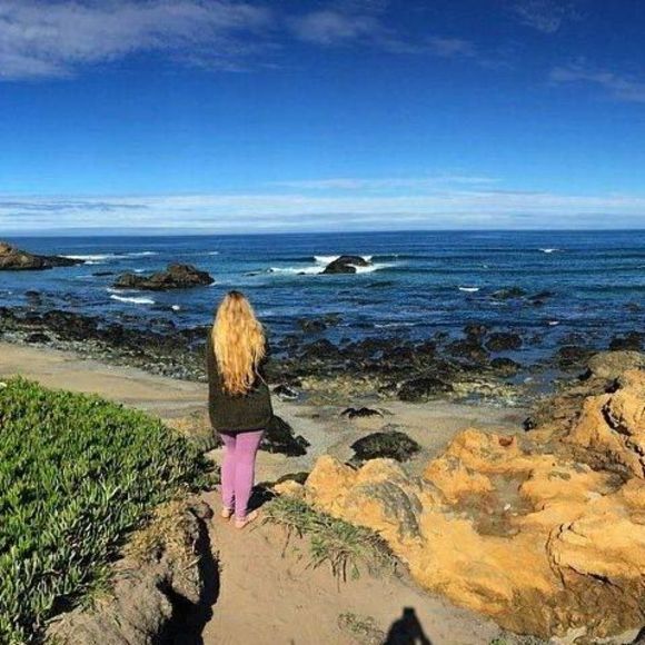 Meet your Posher, Alexis - Picture 1 of 1